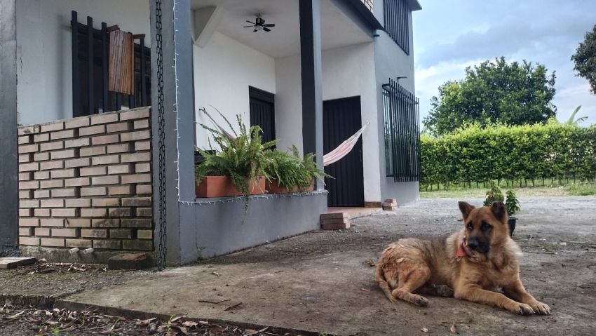 Casa Campestre en Arriendo en Quimbaya, Quimbaya, Quindío
