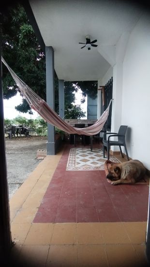Casa Campestre en Arriendo en Quimbaya, Quimbaya, Quindío