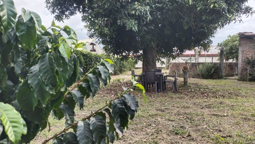 Casa Campestre en Arriendo en Quimbaya, Quimbaya, Quindío