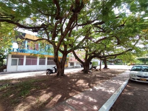 Casa en Arriendo en Ricaurte, Ricaurte, Cundinamarca