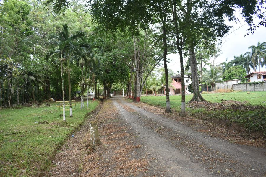 Casa en Arriendo en Carepa, Urabá, Antioquia