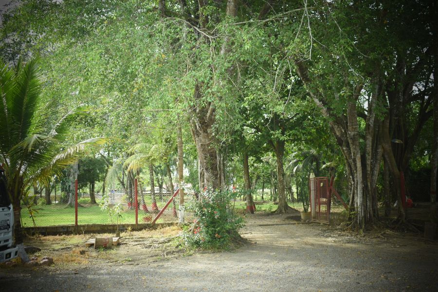Casa en Arriendo en Carepa, Urabá, Antioquia