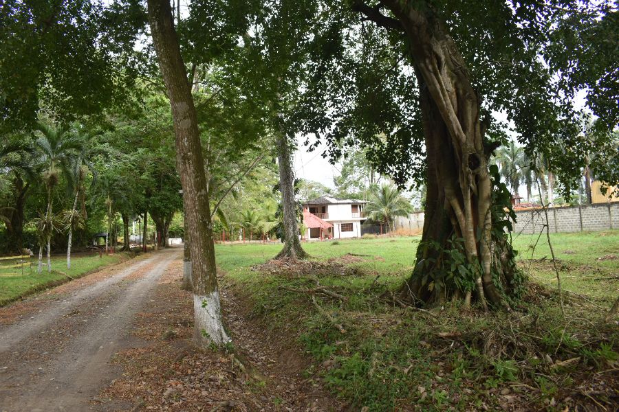 Casa en Arriendo en Carepa, Urabá, Antioquia