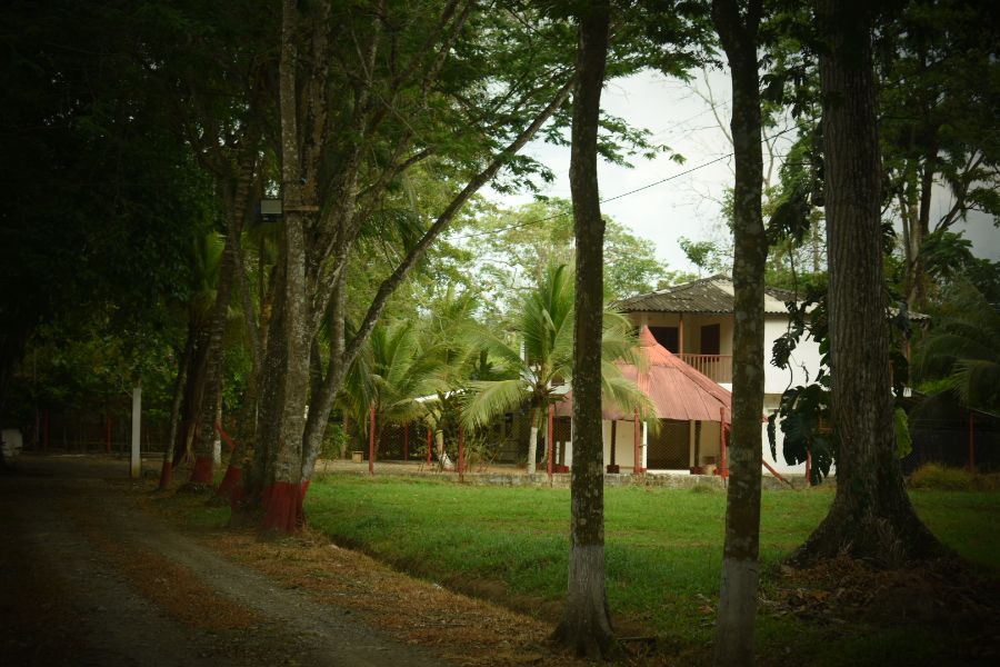 Casa en Arriendo en Carepa, Urabá, Antioquia