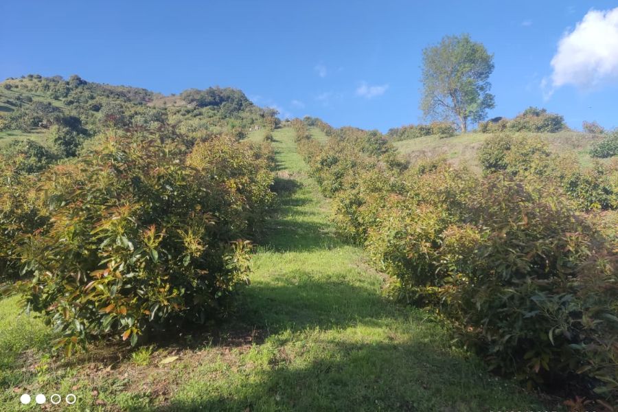 Finca en Venta en Antioquia, , Antioquia