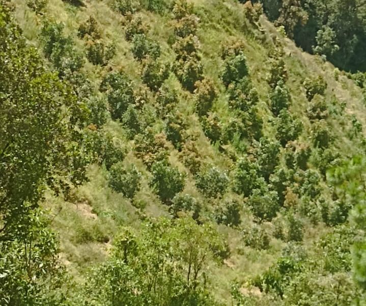 Finca en Venta en Antioquia, , Antioquia