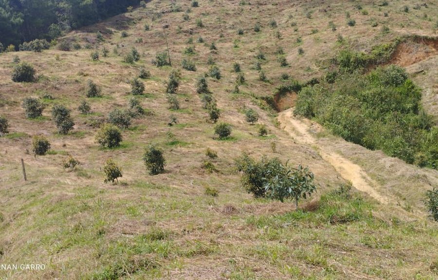 Finca en Venta en Antioquia, , Antioquia