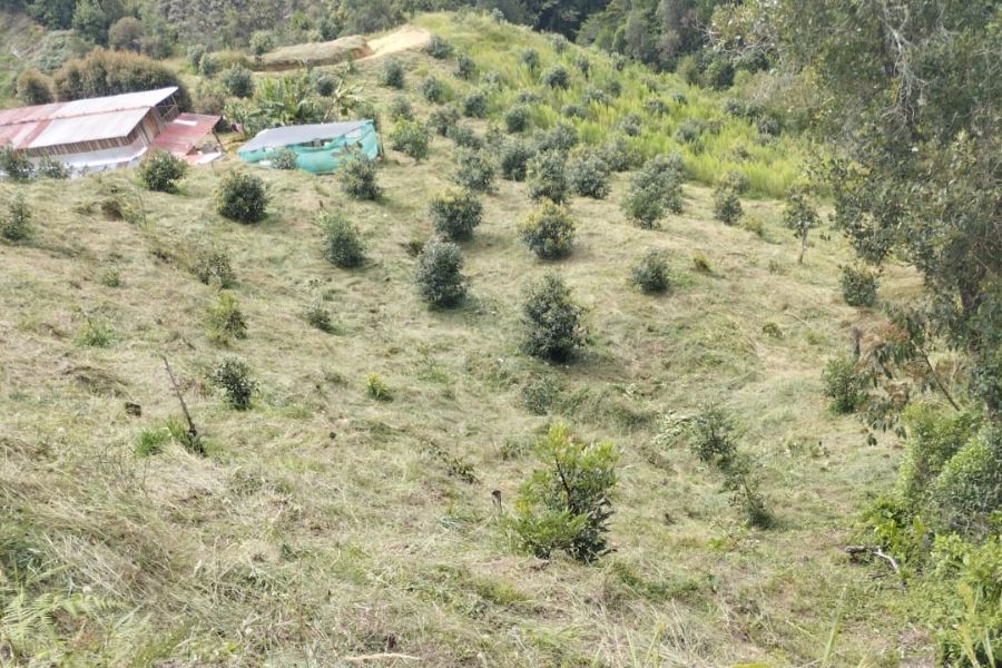 Finca en Venta en Antioquia, , Antioquia