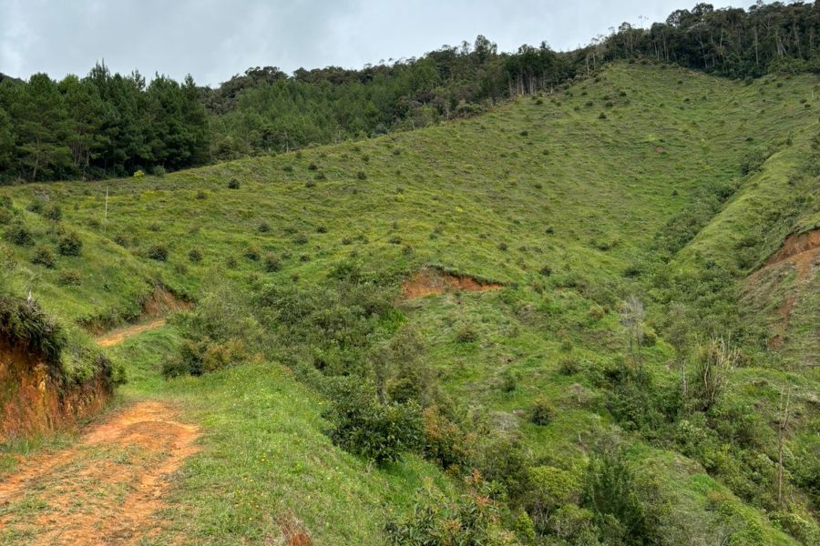 Finca en Venta en Antioquia, , Antioquia