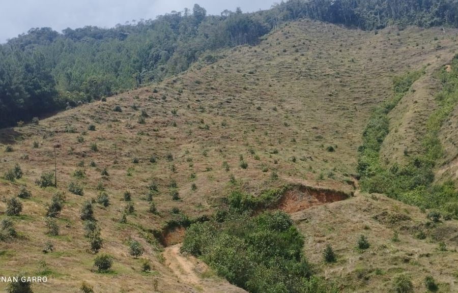Finca en Venta en Antioquia, , Antioquia